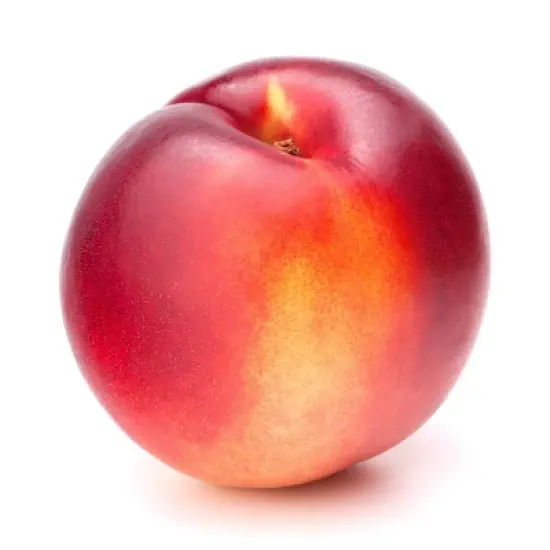 Fresh Nectarine - each image {5}