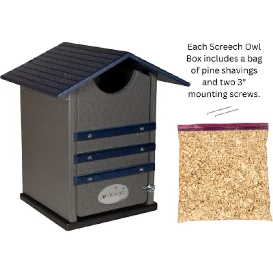 Ultimate Poly Screech Owl or Saw-Whet Owl House Nesting Box image {2}