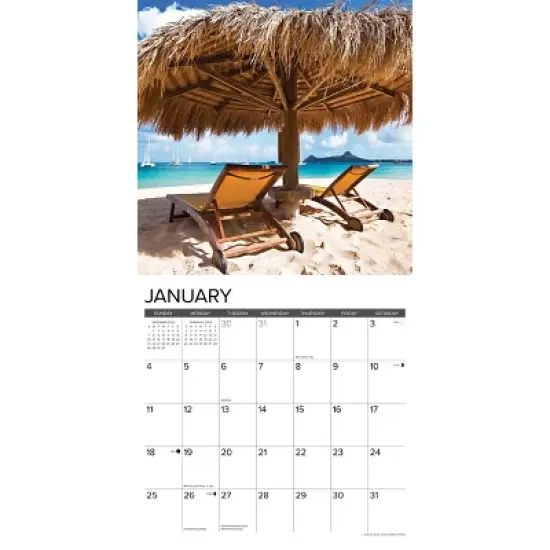 Willow Creek Press 2026 Beach Life Wall Calendar image {2}
