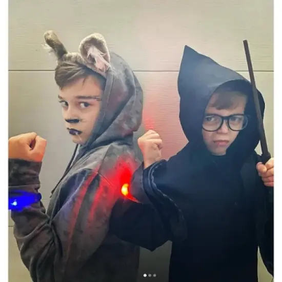 Starlux Games Wizards & Werewolves - 23pc image {6}