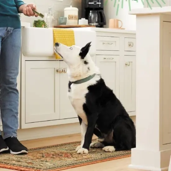 Greenies Dental Bone Sweet Potato Dog Treat - Regular - 12oz image {3}