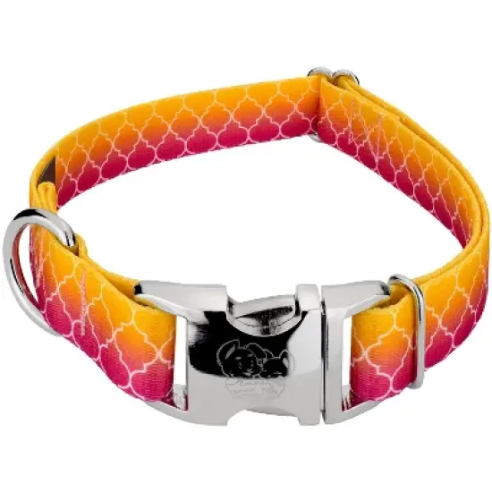 Country Brook Petz Premium Fabulous Ombre Dog Collar image {4}