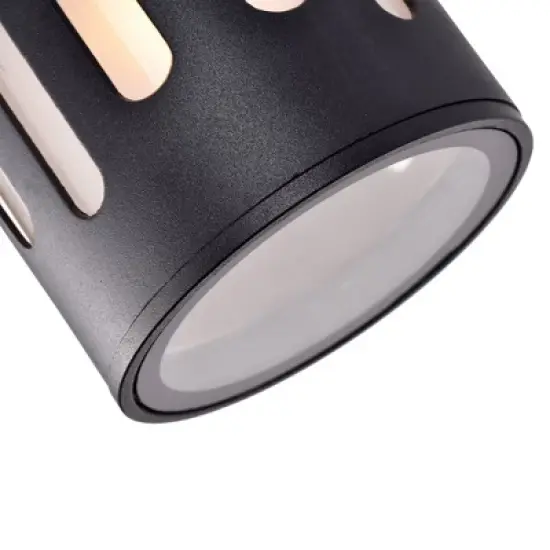 C Cattleya 2-Light Black Die-Cast Aluminum Cylinder Outdoor Wall Sconce image {2}