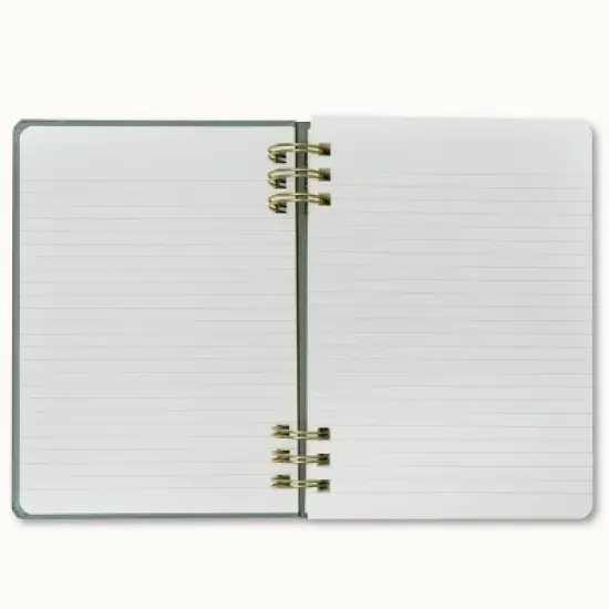 Wit & Delight 2025 Weekly/Monthly Planner 8"x5.75" Double Spiral Evergreen: Calendar, January-December, All Ages image {11}