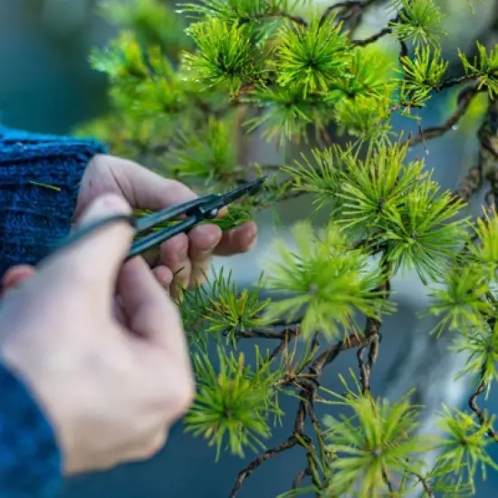 Unique Bargains Aluminum Anodized Flexible Floral Stem Bonsai Training Wire 16.4 Feet image {5}