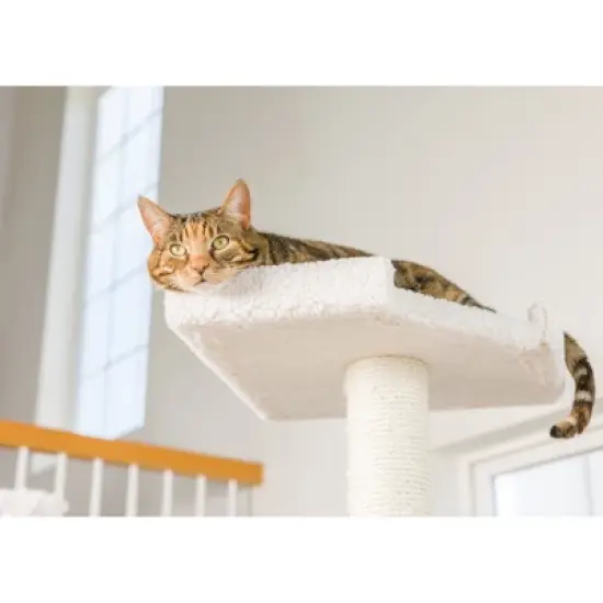 Armarkat B8201 Classic Real Wood Cat Tree In Ivory, Jackson Galaxy Approved, Multi Levels With Ramp, Three Perches, Rope Swing, Two Condos image {3}