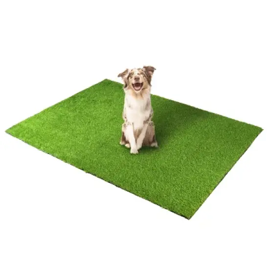 Artificial Grass Synthetic Lawn Indoor/ Outdoor Turf Area Rug by Blue Nile Mills image {1}