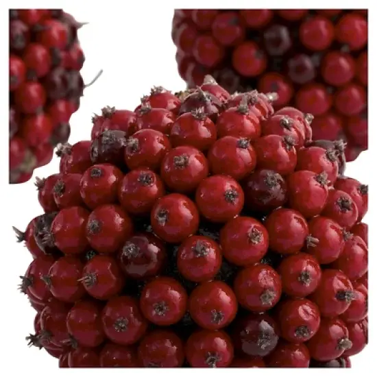 Nearly Natural set of 6 Red Berry Ball Red (5") image {3}