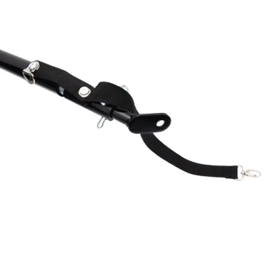 2-in-1 Bike Trailer & Push Cart for Pets - Detachable Bike Hitch & Push Handle Included - All-Terrain Wheels,Non-Slip Floor,Holds Pets Up to 88 lbs image {12}