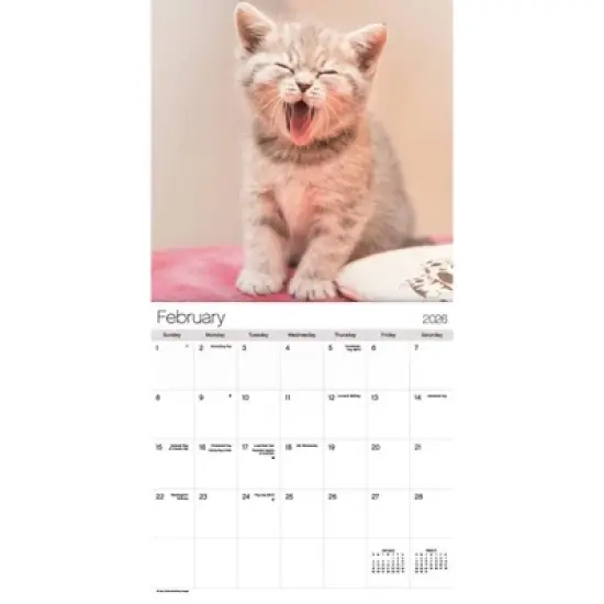 Trends International 2026 Cuddly Kittens 12"x12" Wall Calendar image {2}