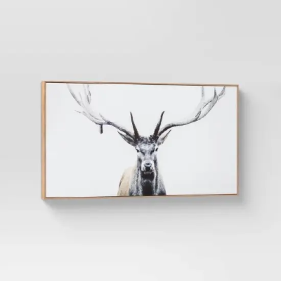 47" x 24" Deer Framed Wall Canvas - Threshold&trade; image {2}
