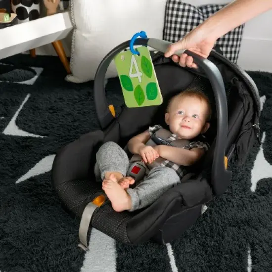 Baby Einstein Discover Garden Tummy Time Baby Playmat and Mirror image {3}