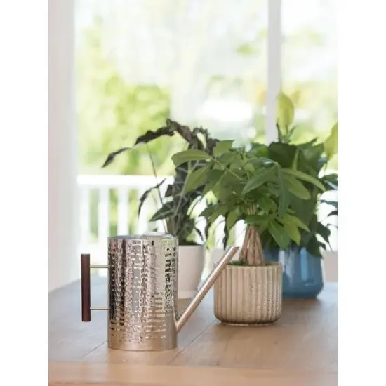 Gardener's Supply Company Stainless Steel Watering Can | Stylish and Modern Design with Easy Grip Wooden Handle & Long Spout to Prevent Spillage | image {3}
