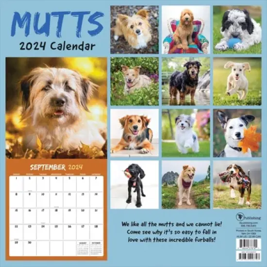 TF Publishing 2024 Wall Calendar 12"x12" Mutts image {4}