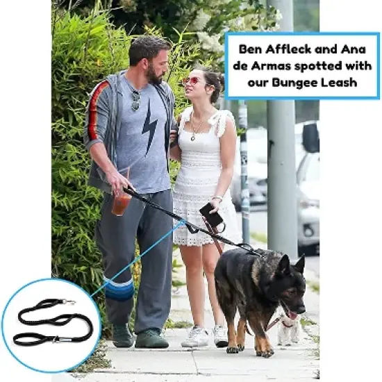 Shed Defender Shock Absorbing Bungee Leash - Three Padded Traffic Handles, Stretches from 4-7 ft. image {2}