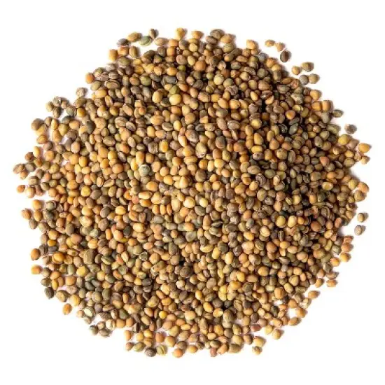 Organic Arugula Sprouting Seeds - by Food To Live image {2}
