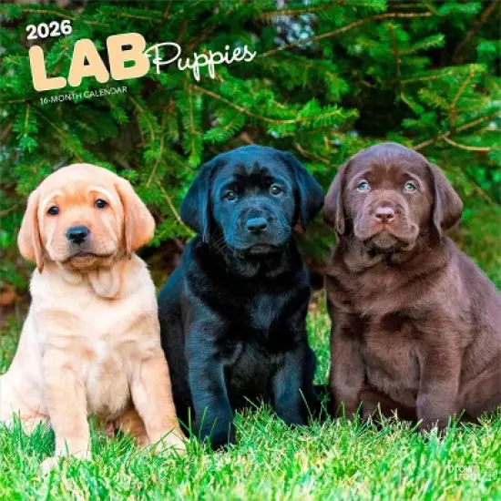 BrownTrout Labrador Retriever Puppies 2026 12"x24" Hanging Square Wall Calendar Plastic-Free image {9}