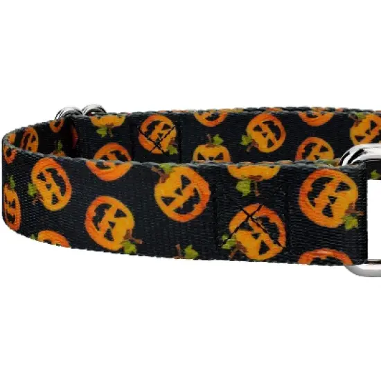 Country Brook Petz Happy Jack Martingale Dog Collar and Leash image {4}