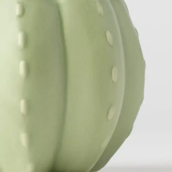 Pumped for Fall Green Live Houseplant - Good Little Garden&trade; image {1}