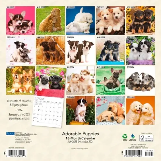 Plato 2023-2024 Wall Calendar 12"x12" Adorable Puppies image {1}