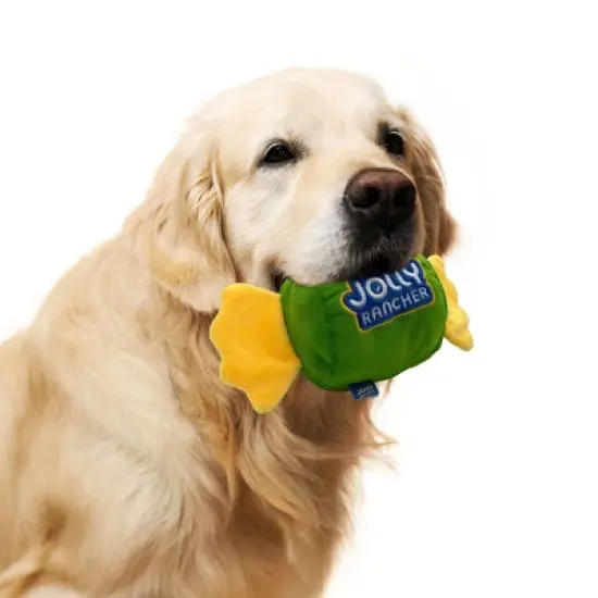 HERSHEY'S Jolly Rancher Dog Plush Toy - Green image {2}