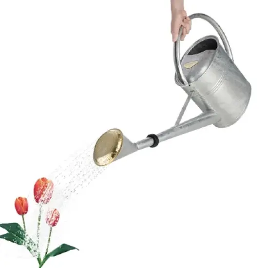 Kings County Tools Galvanized 2 Gal Watering Can image {6}