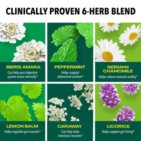 Iberogast Dual Action Digestive Relief Daily Herbal Supplements - 50ml image {2}