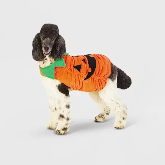 Halloween Plush Pumpkin Dog and Cat Costume - Hyde & EEK! Boutique&trade; image {7}