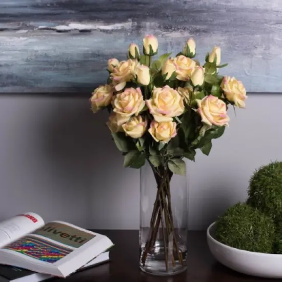 Vickerman Clear Cylinder Glass Container image {3}