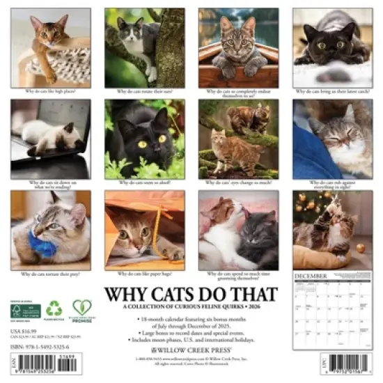 Willow Creek Press 2026 Why Cats Do That Wall Calendar image {1}