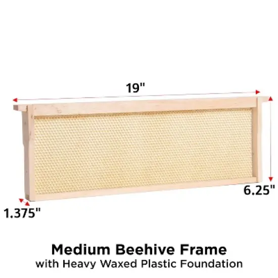 Lehman's Beekeeping Beehive Frame, Waxed Plastic Foundation, Medium Assembled, Honey Bee Hive, Amish Made image {1}