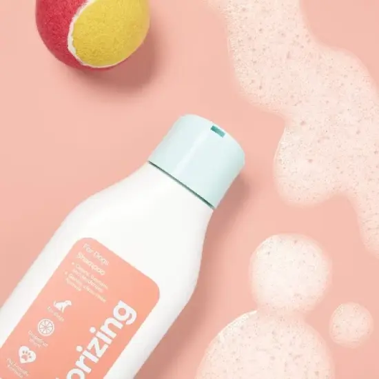 Odor Control Dog Shampoo - up&up&trade; 22 fl oz image {1}