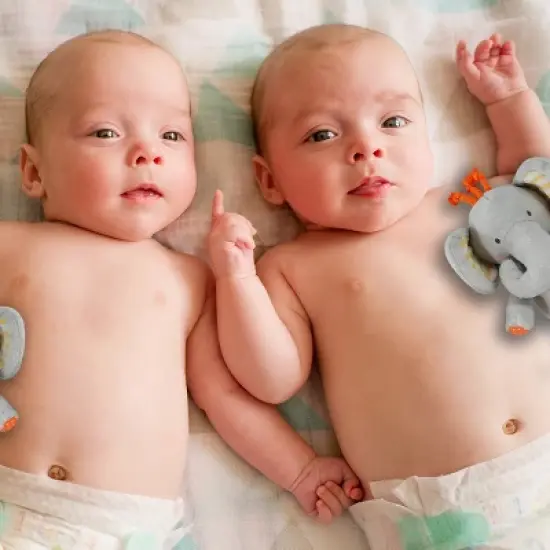 Tickle & Main We are Twins, Baby and Toddler Twin Gift Set, Keepsake Book and Set of 2 Plush Elephant Rattles for Boys and Girls image {2}