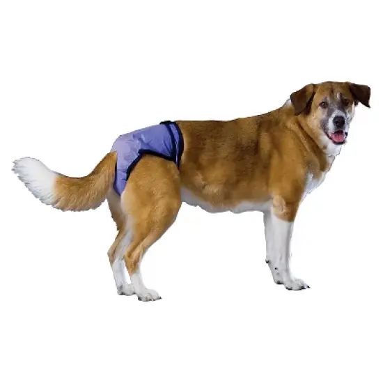 PoochPants Diapers for Pets - Blue image {3}