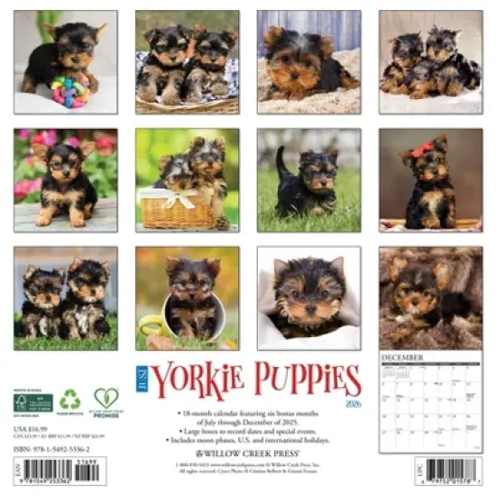 Willow Creek Press 2026 Yorkie Puppies Wall Calendar image {1}