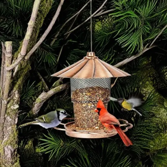 phiestina Bird Feeder with Lid, Heavy-Duty Metal, Petals-Shaped Roof, 360&deg; Feeding Ports, Bronze image {3}