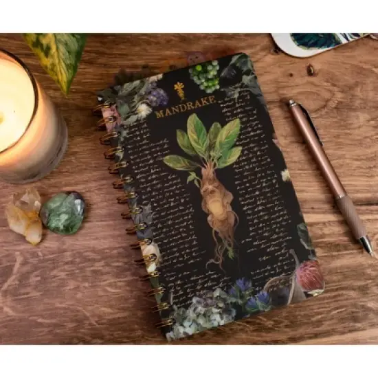 Silver Buffalo Harry Potter Mandrake Floral 5-Tab Spiral Notebook Journal image {1}
