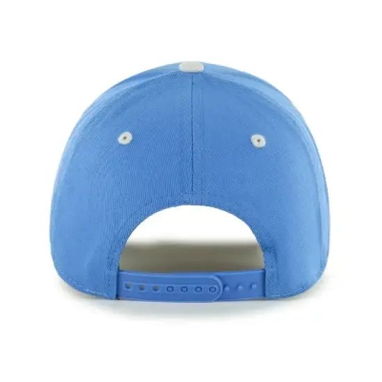 NFL Detroit Lions Moneymaker Snap Hat image {1}