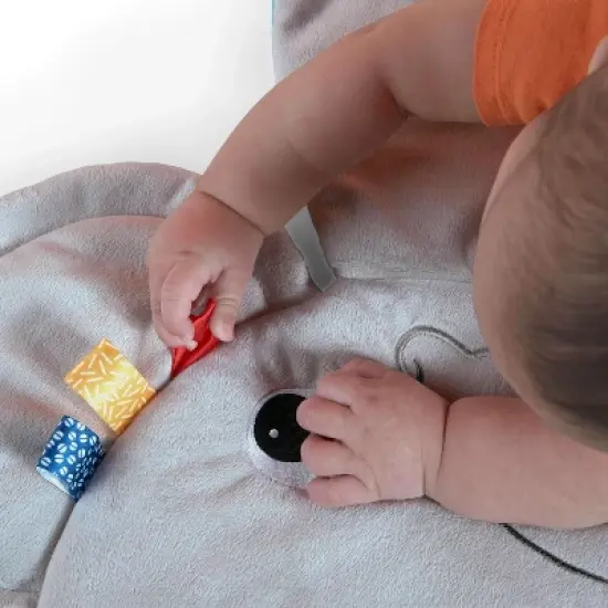 Bright Starts Hug &lsquo;n Cuddle Elephant Activity Gym image {9}