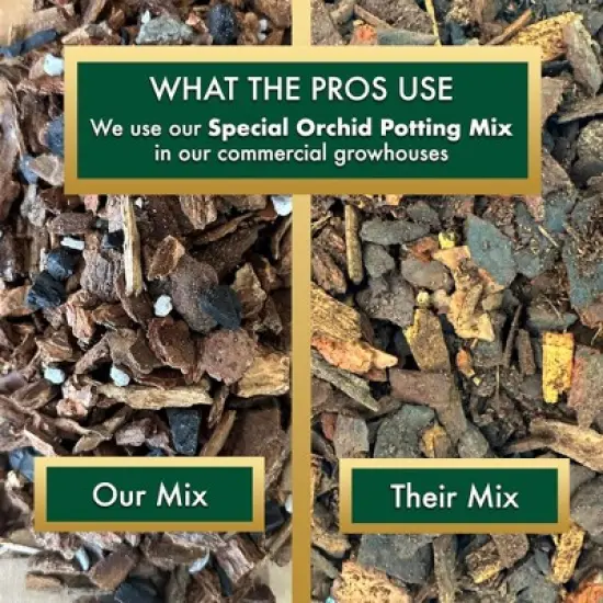Better-Gro Special Orchid Flower Potting Mix, 8qt image {8}