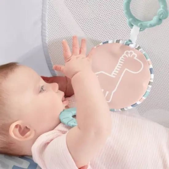 Fisher-Price Rock With Me Bassinet image {4}