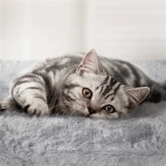 Yaheetech 76.5"H 5-Level Large Cat Tower with 3 Condos image {4}