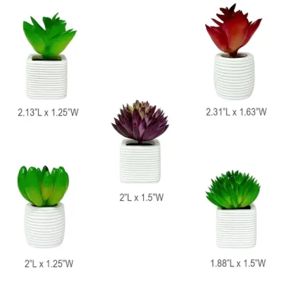 Wrapables 3D Resin Fridge Magnets, Succulents Refrigerator Magnets for Kitchen (Set of 5), Succulent image {5}