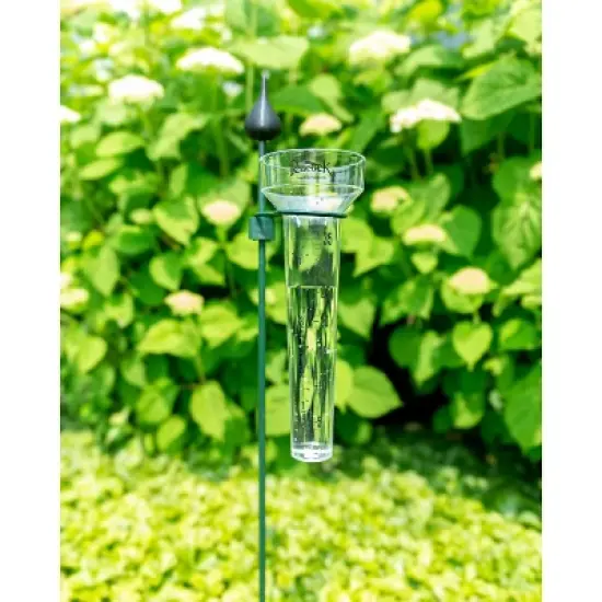 Rain Gauge with 30" Galvanized Steel Plant Support Stake &ndash; Durable & Weather-Resistant Garden Tool image {1}