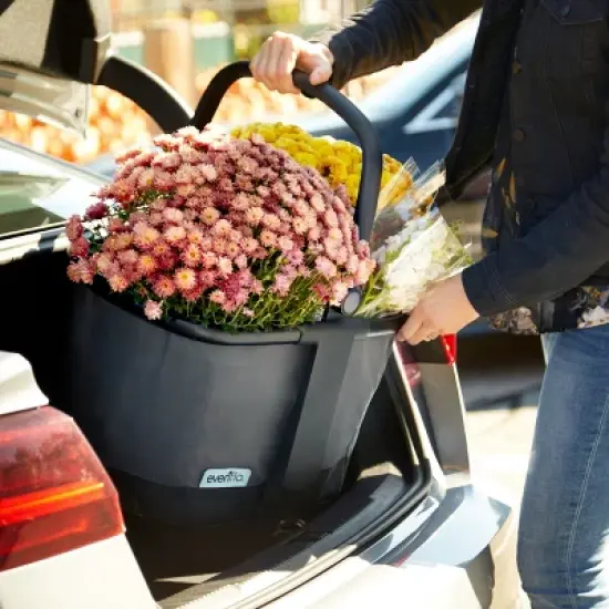 Evenflo Pivot Xpand Market Basket - Gray Skye image {20}