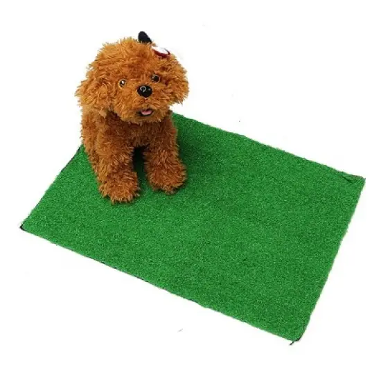 Pet dog, cat, artificial grass, toilet mat, indoor potted plant, trainer, grass mat, pet supplies, convenient for daily life image {1}