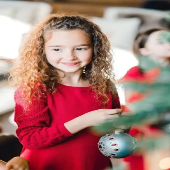 Hope & Henry Girls' Organic Cotton Skater Sweater Dress with Pointelle Sleeves, Infant image {4}