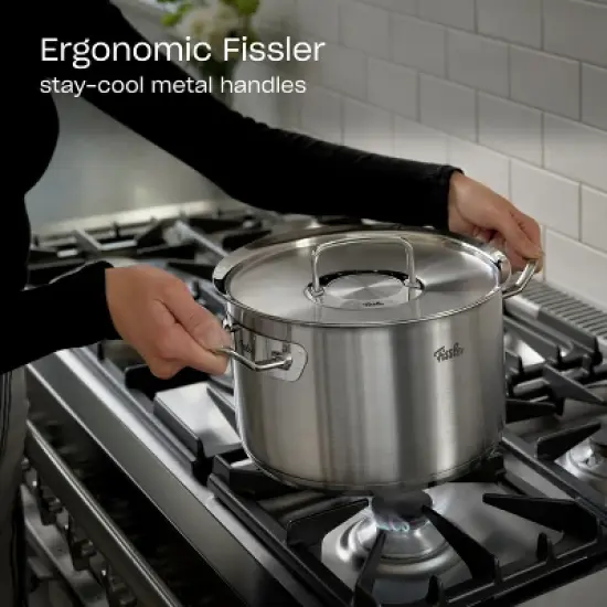 Fissler Original-Profi Collection Stainless Steel Pot with Lid image {4}