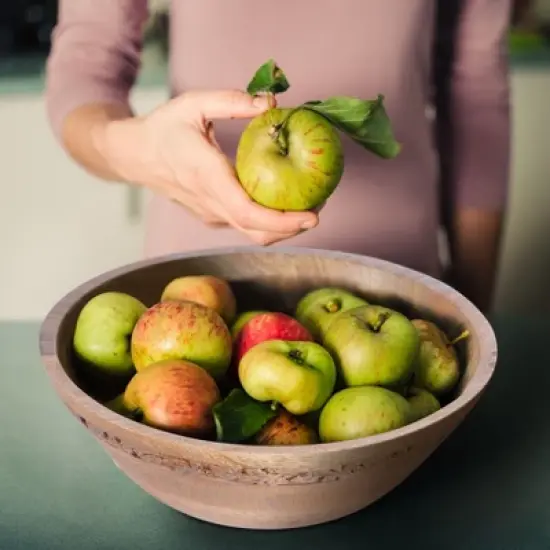 Mela Artisans Wooden Serving Bowls (white) (12" x 4.5" x 11") image {2}