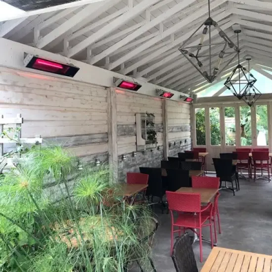 Dimplex Indoor/Outdoor Electric Infrared Patio Heater 240V/1800W image {3}